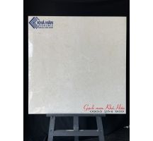 Gạch lát nền 80x80 Ấn Độ mới nhất 2023