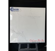 40 mẫu Gạch lát nền 80x80 Ấn Độ  tại Vĩnh Long