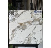 Nhà phân phối bóng kiếng 60x60 KH5166