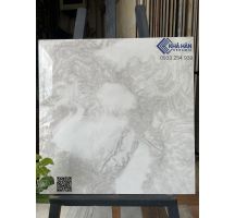 Gạch lát nền nhà 60x60 Vigalcera 5466001 