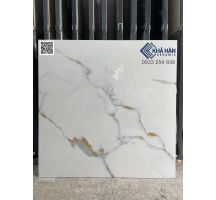 Gạch 80x80 lát nền nhà hàng tại Cần Thơ