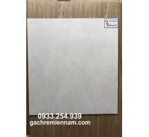 GẠCH LÁT NỀN 60X60 PRIME 9047