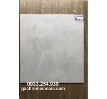 GẠCH LÁT NỀN 60X60 PRIME 9048