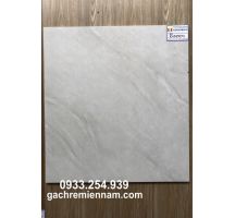 GẠCH LÁT NỀN 60X60 PRIME 9858