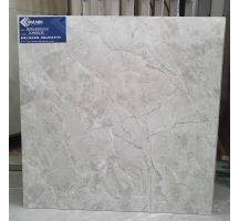 GẠCH MỜ NHÁM 60X60 KH 6605