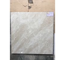 ĐÁ BÓNG KIẾNG 60X60 VIGLACERA KH-67004