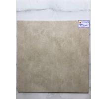 GẠCH LÁT NỀN 60X60 ROYAL VG66855