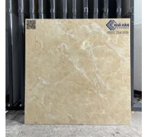 Nhà phân phối gạch 80x80cm lớn nhất Sài Gòn