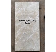 Gạch bóng kiếng 60x120 giá rẻ, gạch cao cấp 60x120 giá rẻ