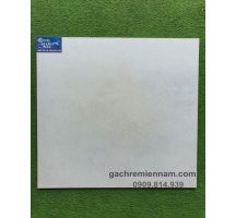 GẠCH MỜ NHÁM 60X60 PRIME 9174