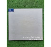 ĐÁ MỜ 60X60 VIGLACERA 6910