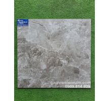 GẠCH VIGLACERA MỜ LÁT NỀN 60X60 6913