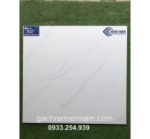 GẠCH LÁT NỀN 60X60 GIÁ RẺ 6301 WT 