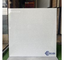 ĐÁ BÓNG KIẾNG 60X60 TPHCM KHI619