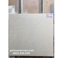 GẠCH LÁT NỀN Ý MỸ P67001 60X60