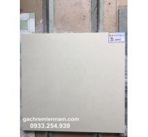 GẠCH LÁT NỀN Ý MỸ 60X60 P67015