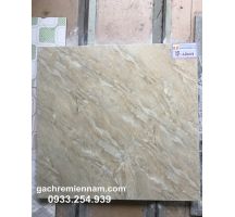 GẠCH Ý MỸ 60X60 P68008