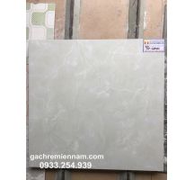 GẠCH Ý MỸ 60X60 P68011