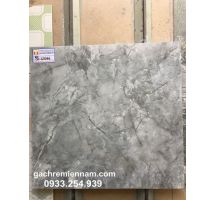 GẠCH Ý MỸ 60X60 P68066