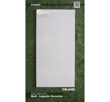 Gạch đá 30x60 Viglacera Platinum CBL3600