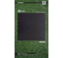 Gạch lát nền 60x60 Viglacera Platinum CBL636 - 0933 254 939