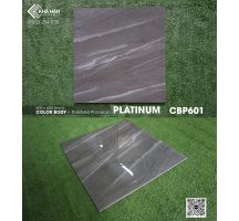 Gạch lát nền 60x60 Viglacera Platinum CBP601 - 0933 254 939