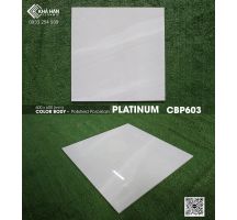 Gạch lát nền 60x60 Viglacera Platinum CBP603 - 0933 254 939