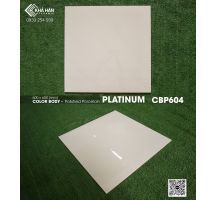 Gạch lát nền 60x60 Viglacera Platinum CBP604 - 0933 254 939