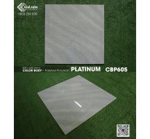 Gạch lát nền 60x60 Viglacera Platinum CBP605 - Holtine 0933254939