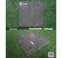 Gạch lát nền 60x60 Viglacera Platinum CBP606 - 0933 254 939