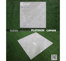 Gạch lát nền 60x60 Viglacera Platinum CBP608 - 0933 254 939