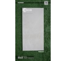 Gạch ốp tường 30x60 Viglacera Platinum PL36-21