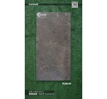 Gạch ốp 30x60 Viglacera Platinum PL36-24