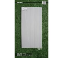 Gạch ốp 30x60 Viglacera Platinum PL36-41