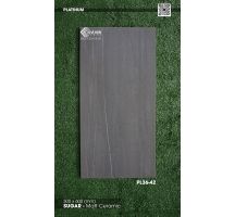 Gạch ốp 30x60 Viglacera Platinum PL36-42