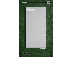 Gạch ốp tường 30x60 Viglacera Platinum PL36-01