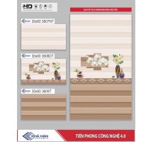 GẠCH ỐP TƯỜNG 30X60 3607T