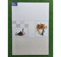 GẠCH ỐP TƯỜNG 30X60 TASA 2014