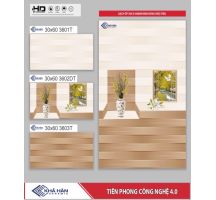 GẠCH ỐP TƯỜNG 30X60 3601T
