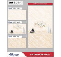 GẠCH ỐP TƯỜNG 30X60 3611T