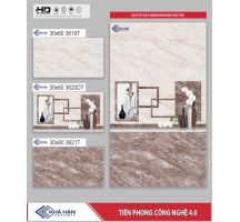 GẠCH ỐP TƯỜNG 30X60 3619T