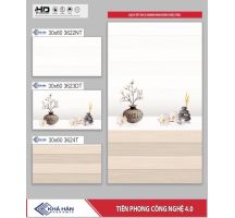 GẠCH ỐP TƯỜNG 30X60 3622T