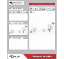 GẠCH ỐP TƯỜNG 30X60 3634T