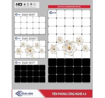 GẠCH ỐP TƯỜNG 30X60 3637T