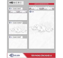 GẠCH ỐP TƯỜNG 30X60 3640T