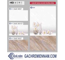 GẠCH ỐP TƯỜNG 30X60 3652T