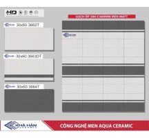GẠCH ỐP TƯỜNG 30X60 3662T
