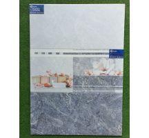 GẠCH ỐP TƯỜNG 30X60 3694
