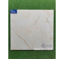 ĐÁ BÓNG KIẾNG 60X60 KHT6050