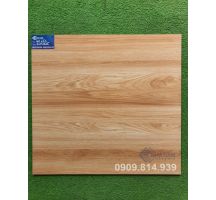 GẠCH LÁT NỀN BÓNG KIẾNG 60X60 KHT7024